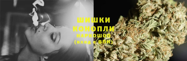 альфа пвп Гусев