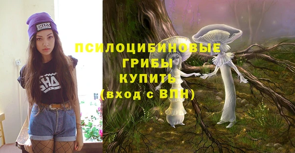 герыч Гусь-Хрустальный