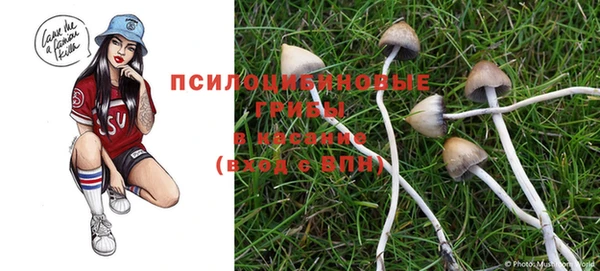 альфа пвп Гусев