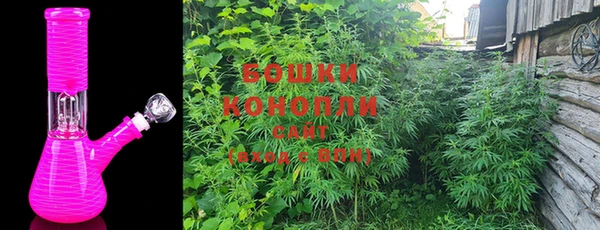 альфа пвп Гусев