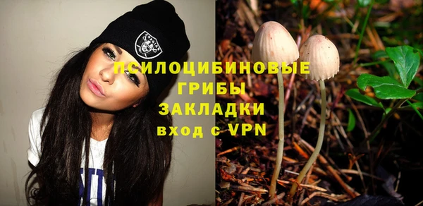 ALPHA PVP Гусиноозёрск