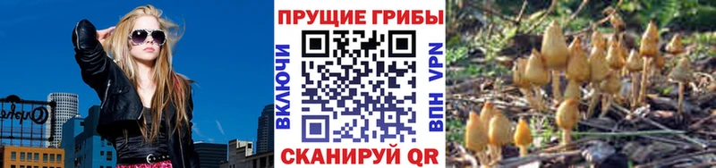площадка наркотические препараты  Усть-Илимск  Галлюциногенные грибы Psilocybine cubensis 