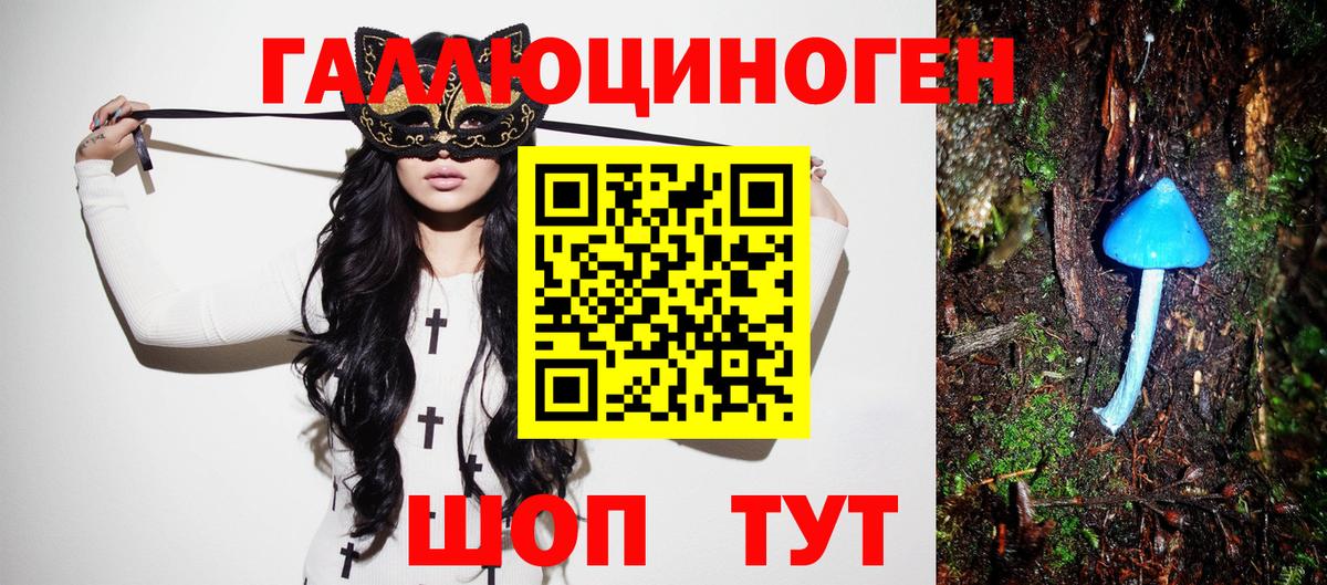 Галлюциногенные грибы Psilocybe  Вход с VPN  Усть-Илимск 